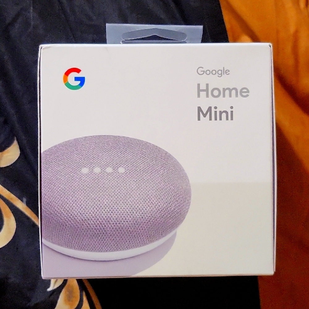 Google Home Mini Chalk